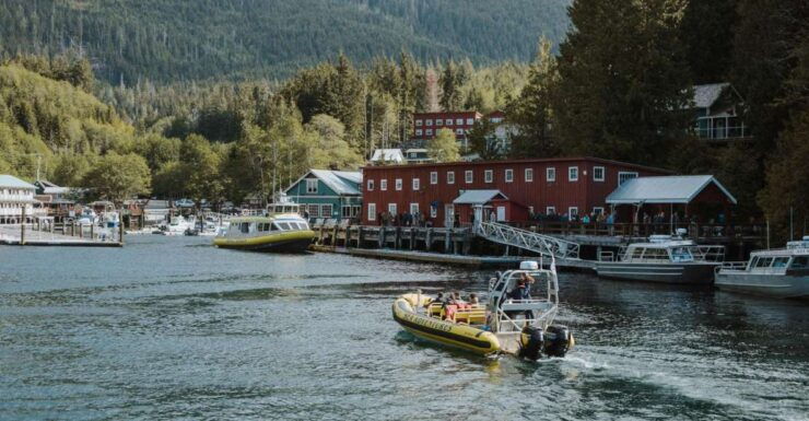 Telegraph Cove: 3-Hour Whale Watching Tour in a Zodiac Boat - Booking Information