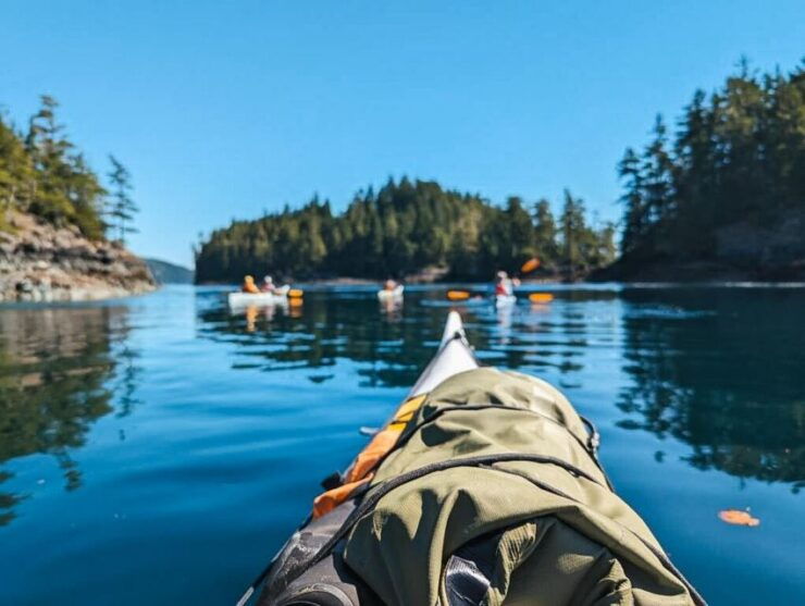 Telegraph Cove: Half-Day Kayaking Tour - Experience & Guides