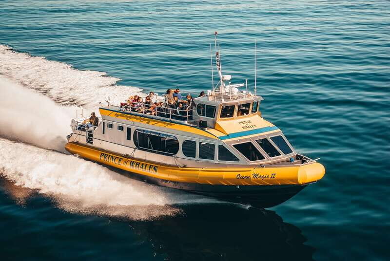 Telegraph Cove: Whale Watching Adventure with Free Photos - Comfort and Practicality