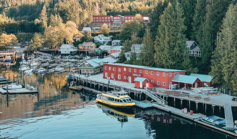 Telegraph Cove: Whale Watching Adventure with Free Photos - FAQ