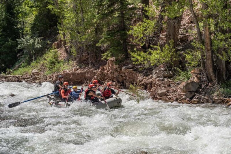 Telluride 1 Day Rafting Trip with Lunch - San Miguel River - Good To Know