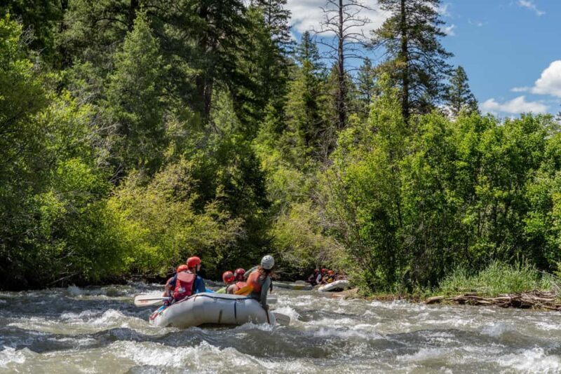 Telluride 1 Day Rafting Trip with Lunch - San Miguel River - The Full-Day Rafting Experience: What to Expect