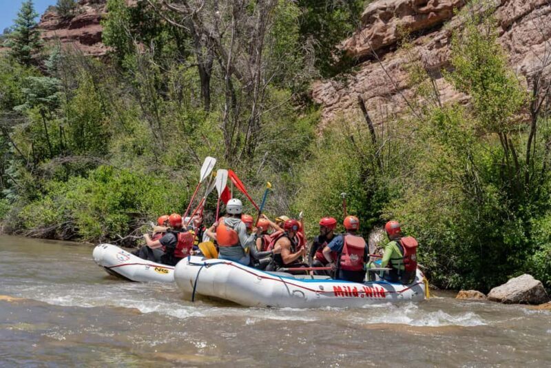 Telluride 1 Day Rafting Trip with Lunch - San Miguel River - Who Is This Trip Best For?