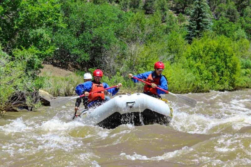 Telluride Afternoon Half Day Rafting Trip - San Miguel River - The Experience: What to Expect on the San Miguel River