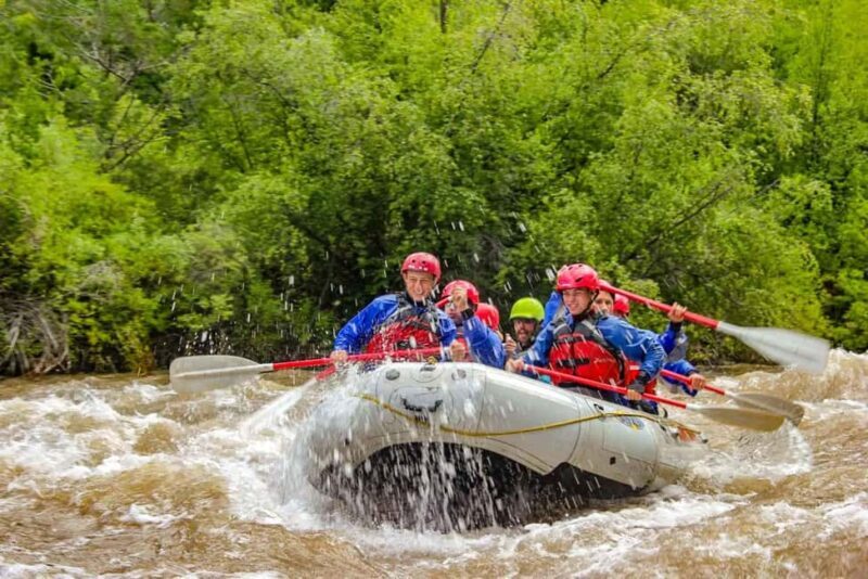 Telluride Morning Half Day Rafting Trip - San Miguel River - Why This Tour Offers Great Value