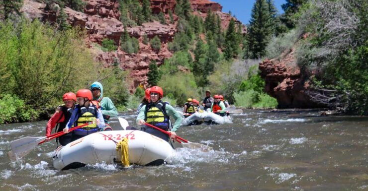 Telluride Whitewater Rafting - Full Day With Lunch - Good To Know