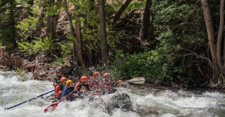 Telluride Whitewater Rafting - Morning Half Day - Good To Know