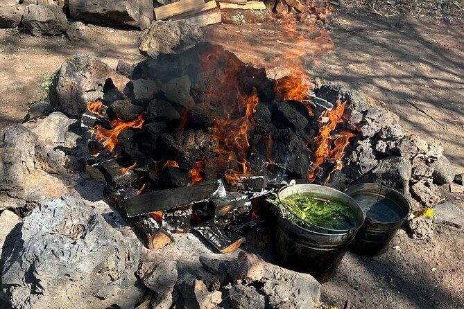 Temazcal Ceremony in Tepoztlan Healing and Tradition - An In-Depth Look at the Temazcal Ceremony Experience