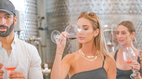 Temecula: Guided Sidecar Wine Tasting Tour - Detailed Description of the Tour Experience
