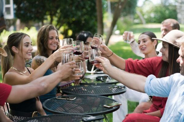 Temecula: Guided Sidecar Wine Tasting Tour - Important Information and Logistics for Participants