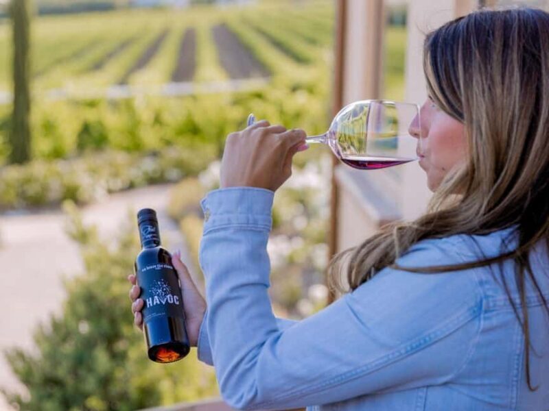 Temecula Valley 4-Hour Wine Tour with Tastings Included - Who Will Love This Tour?