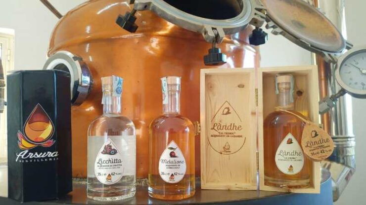 Tempio Pausania: Visit a Distillates Workshop With Tasting - Good To Know