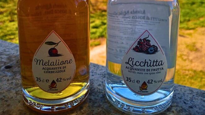 Tempio Pausania: Visit a Distillates Workshop With Tasting - Meeting Point and Accessibility