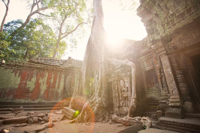 Temple and Culture - Frequently Asked Questions