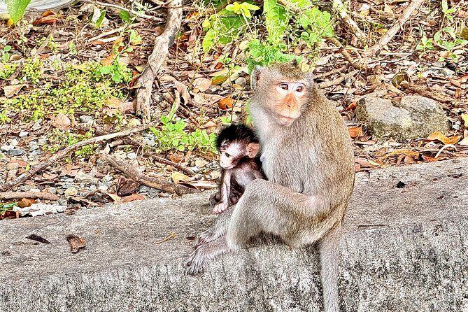 Temple and Local Market in Sihanoukville History tour - FAQs