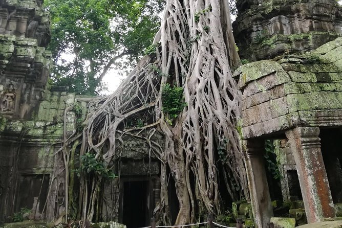 Temple Classic Tour-Small Circuit Tour of Angkor Archaeological Park-Siem Reap - Additional Details