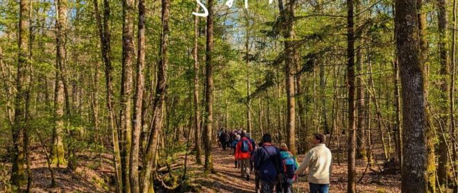 Temple Forest: Shiatsu Wellness Hike - Inclusions and Meeting Point