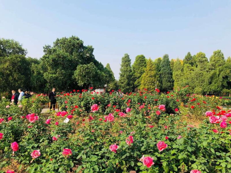 Temple of Heaven Ticket - FAQs