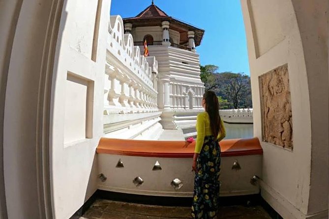 Temple of the Tooth & Royal Botanical Gardens Tour - Tour Information