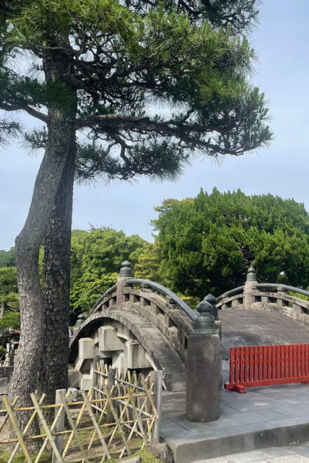 Temple Tour in Kamakura, The Samurai Capital - Meeting Point and Directions