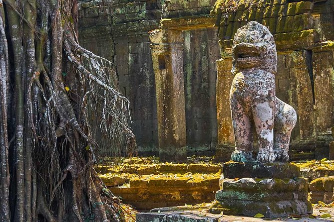 Temple Trails of Angkor - Navigating the Temple Trails of Angkor