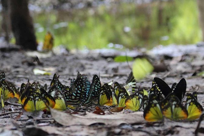 Temple Trails of Angkor - Common Questions
