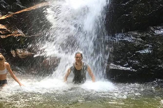 Templer Park and Kanching Waterfall Tour With Batu Caves Stopover - Tour Reviews