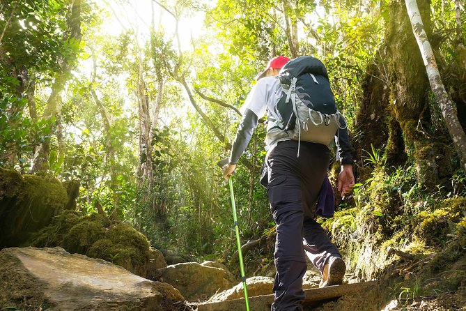 Templer Park and Kanching Waterfall Tour With Batu Caves Stopover - Pricing