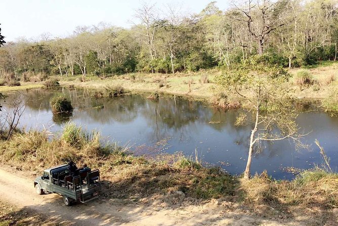 Temples And Tigers - Jungle Safari Experience