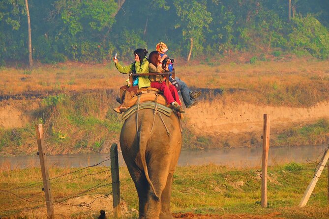 Temples And Tigers - The Sum Up