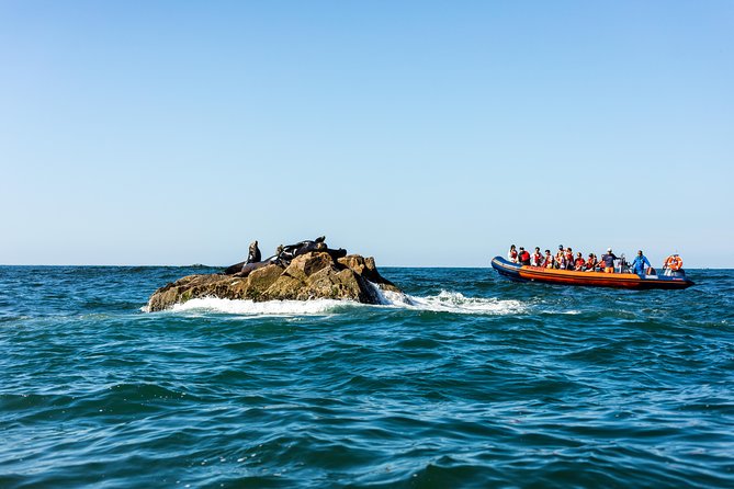 Ten Islands Expedition - Inclusions