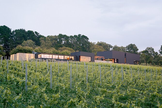 Ten Minutes by Tractor Terroir Masterclass - Indulge in Alcoholic Beverages
