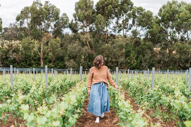 Ten Minutes by Tractor: The Art of Fine Wine & Gastronomy - The Sum Up
