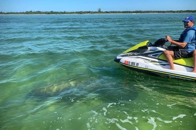 Ten Thousand Island Jet Ski Eco Tour - Marco Island - Praise for the Guides