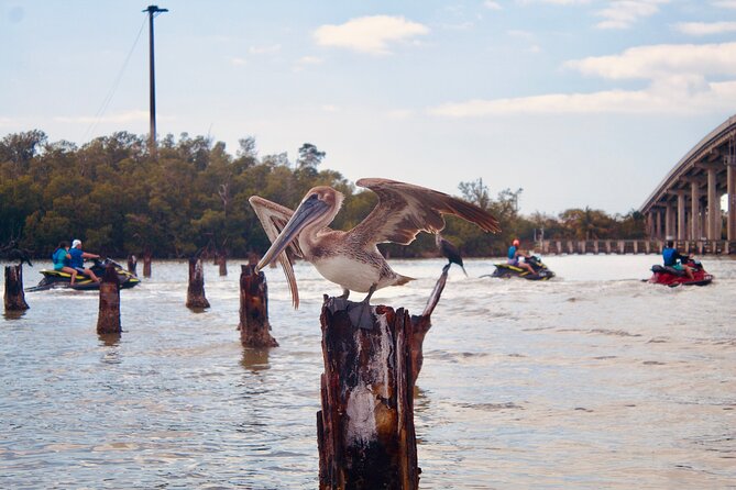 Ten Thousand Island Jet Ski Eco Tour - Marco Island - Directions