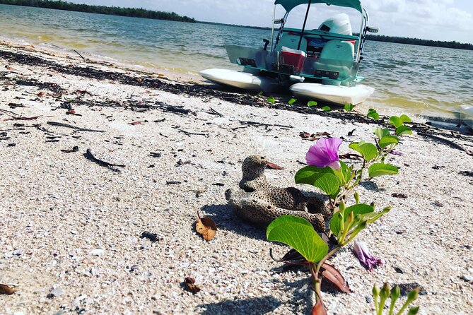 Ten Thousand Islands 2-Person Catamaran Adventure  - Naples - Tour Overview