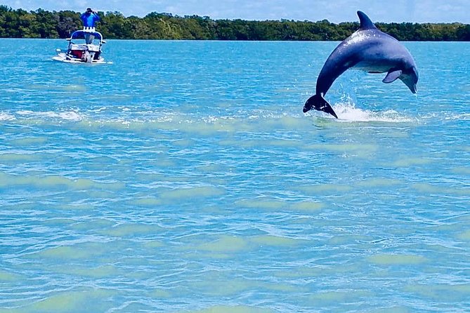 Ten Thousand Islands 2-Person Catamaran Adventure  - Naples - Tour Experience