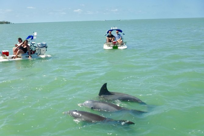 Ten Thousand Islands 2-Person Catamaran Adventure  - Naples - The Sum Up