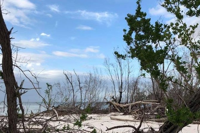 Ten Thousand Islands Small-Group Boat Tour From Marco Island  - Naples - The Sum Up