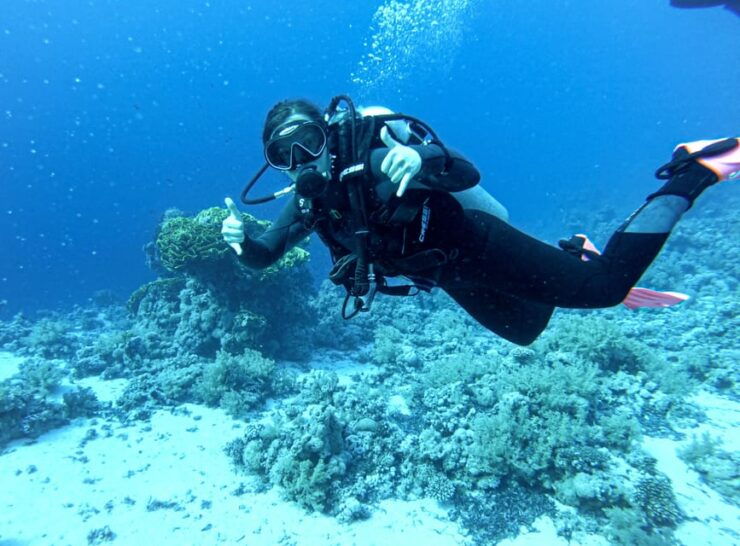 Tenerife - 2 Guided Dives for Certified Divers - Half Day - Good To Know