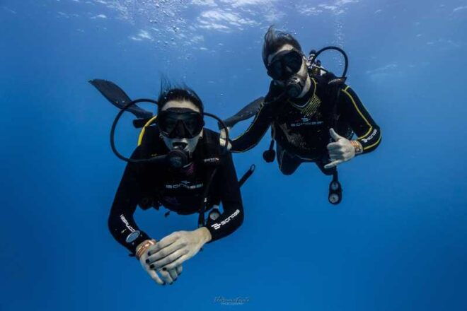 Tenerife - 2 Guided Dives for Certified Divers - Half Day - Experience Details