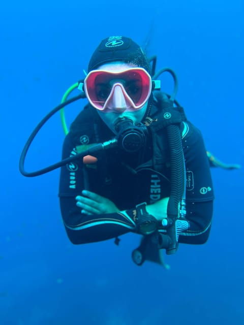 Tenerife - 2 Guided Dives for Certified Divers - Half Day - Requirements and Safety