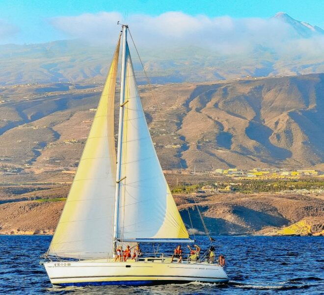 Tenerife: 3-Hour Luxury Sail With Food and Snorkeling - Professional Crew and Sightings