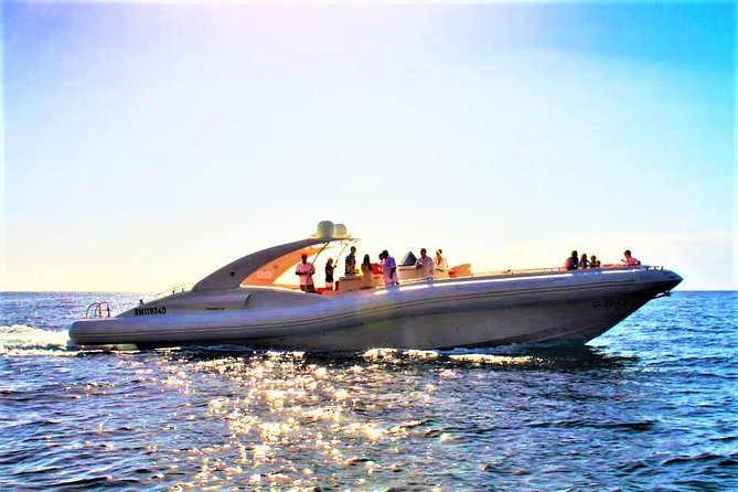Tenerife 3-Hour RIB Whale and Dolphin Watching Cruise - Overview and What To Expect