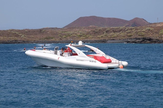 Tenerife 3-Hour RIB Whale and Dolphin Watching Cruise - Positive Reviews