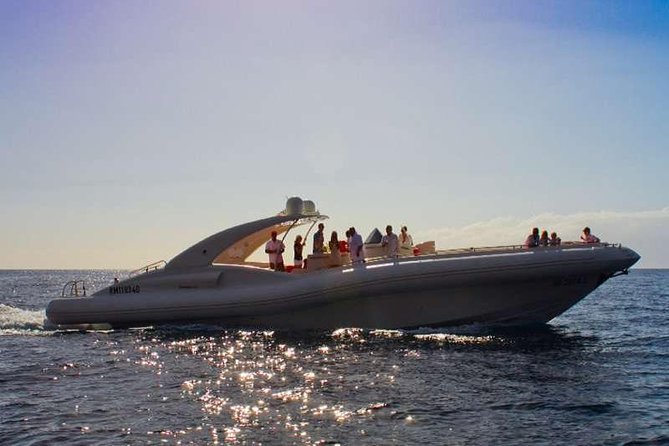Tenerife 3-Hour RIB Whale and Dolphin Watching Cruise - Noteworthy Experiences