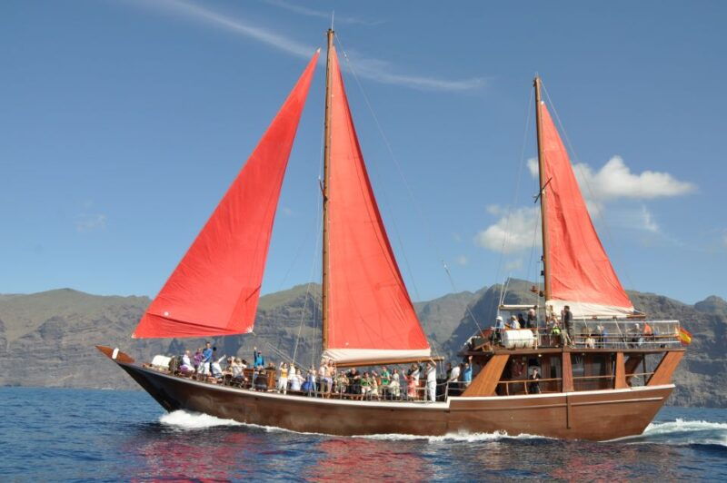 Tenerife: 5-Hour Whales and Dolphins Tour - Good To Know