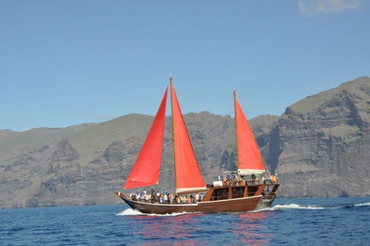 Tenerife: 5-Hour Whales and Dolphins Tour - Customer Reviews and Feedback