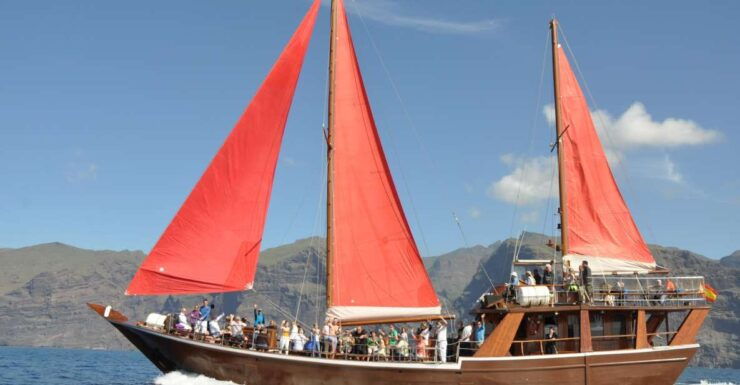 Tenerife: 5-Hour Whales and Dolphins Tour - Tour Details