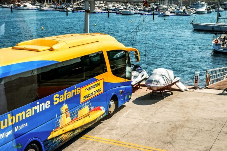 Tenerife: 50-Minute Submarine Dive - Submarine Dive Experience